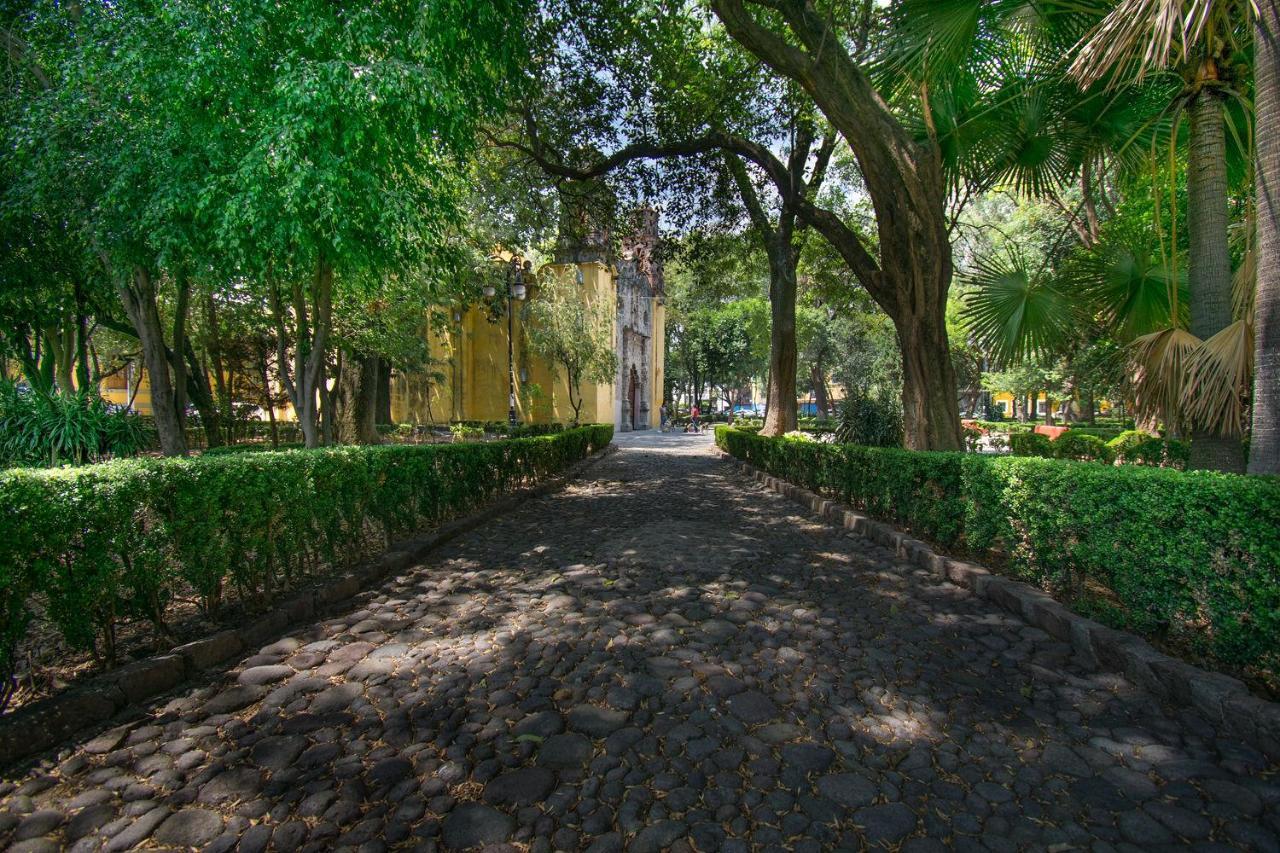 Апартаменты Fl 59 Coyoacan At Your Doorstep! Мехико Экстерьер фото