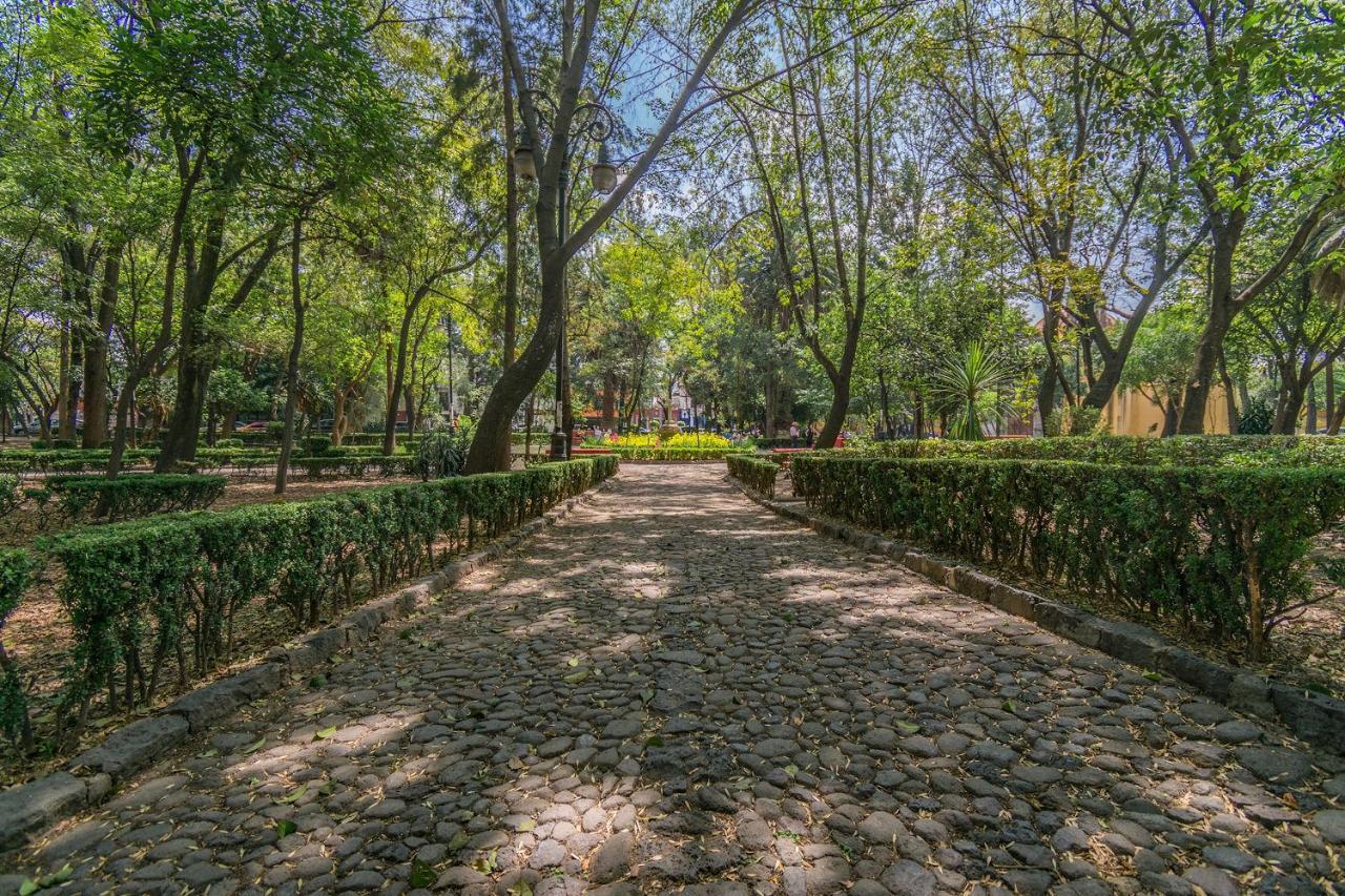 Апартаменты Fl 59 Coyoacan At Your Doorstep! Мехико Экстерьер фото